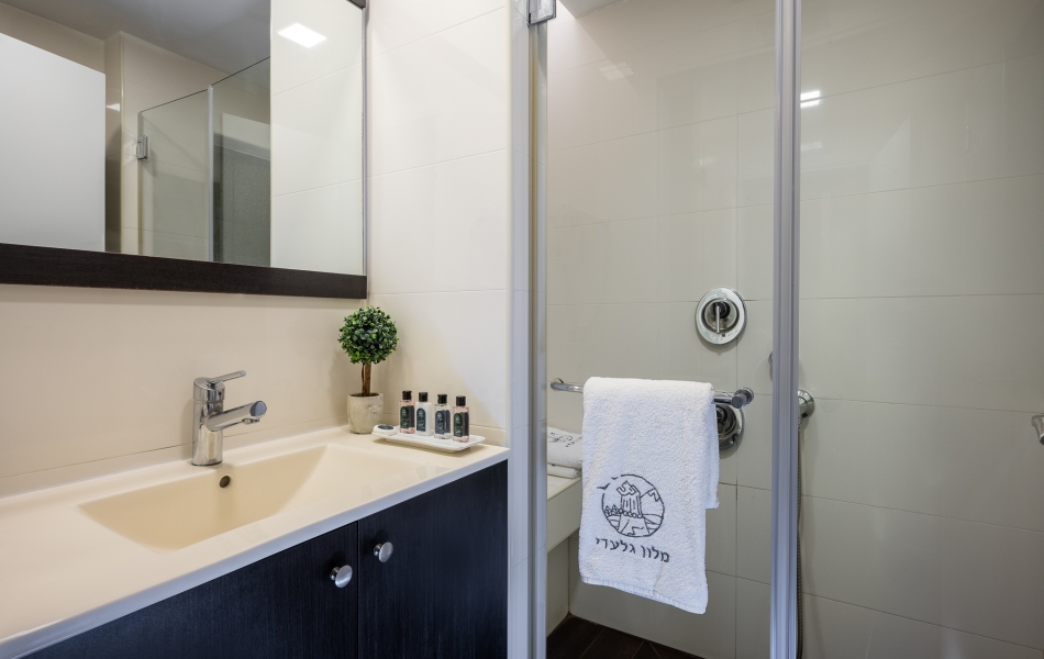 Hotel Giladi Deluxe bath low