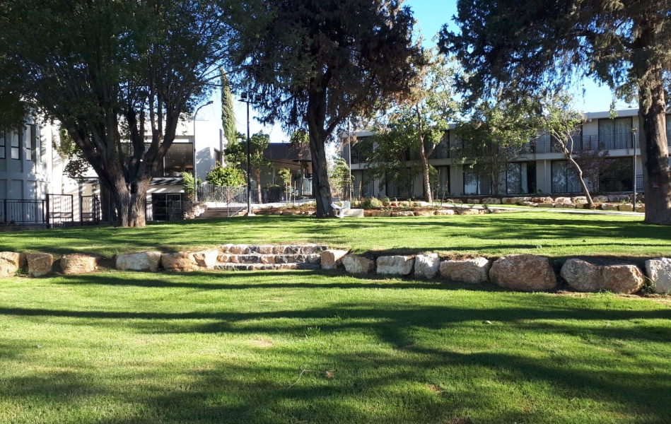 דשא מרכזי